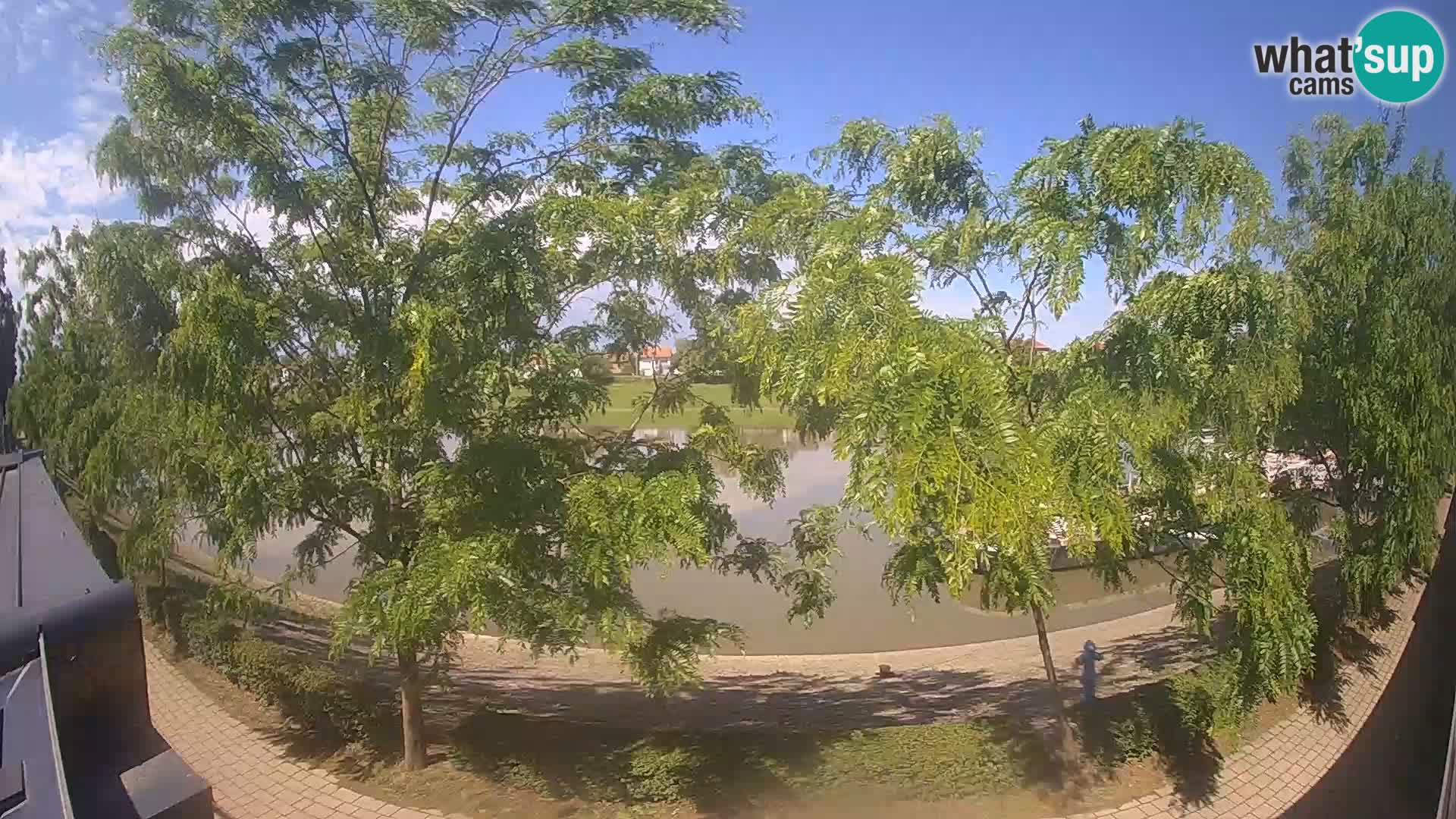 Sisak Live-Webcam Blick auf den Fluss Kolpa – Kroatien