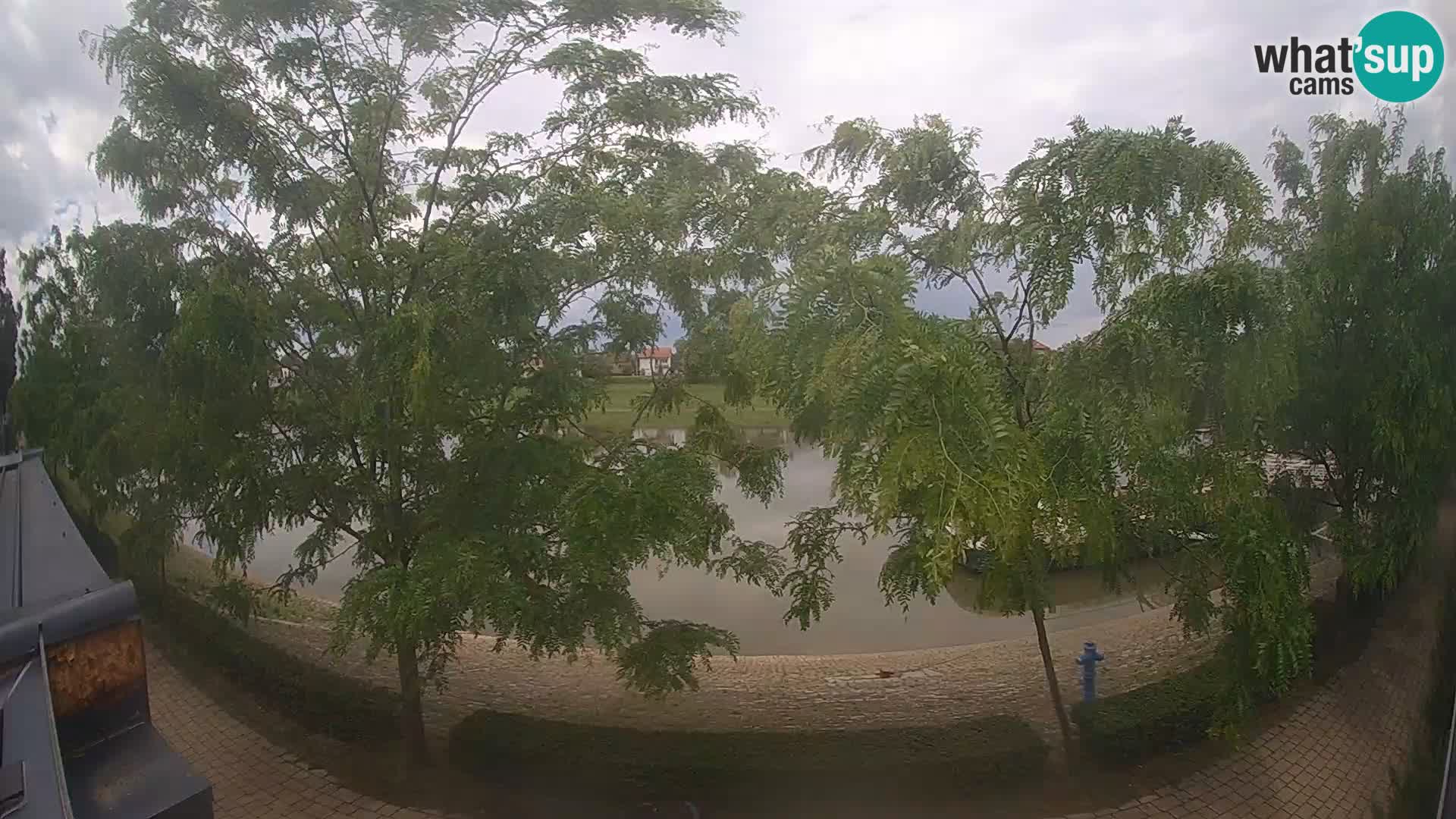 Sisak webcam en vivo Kolpa river view – Croacia
