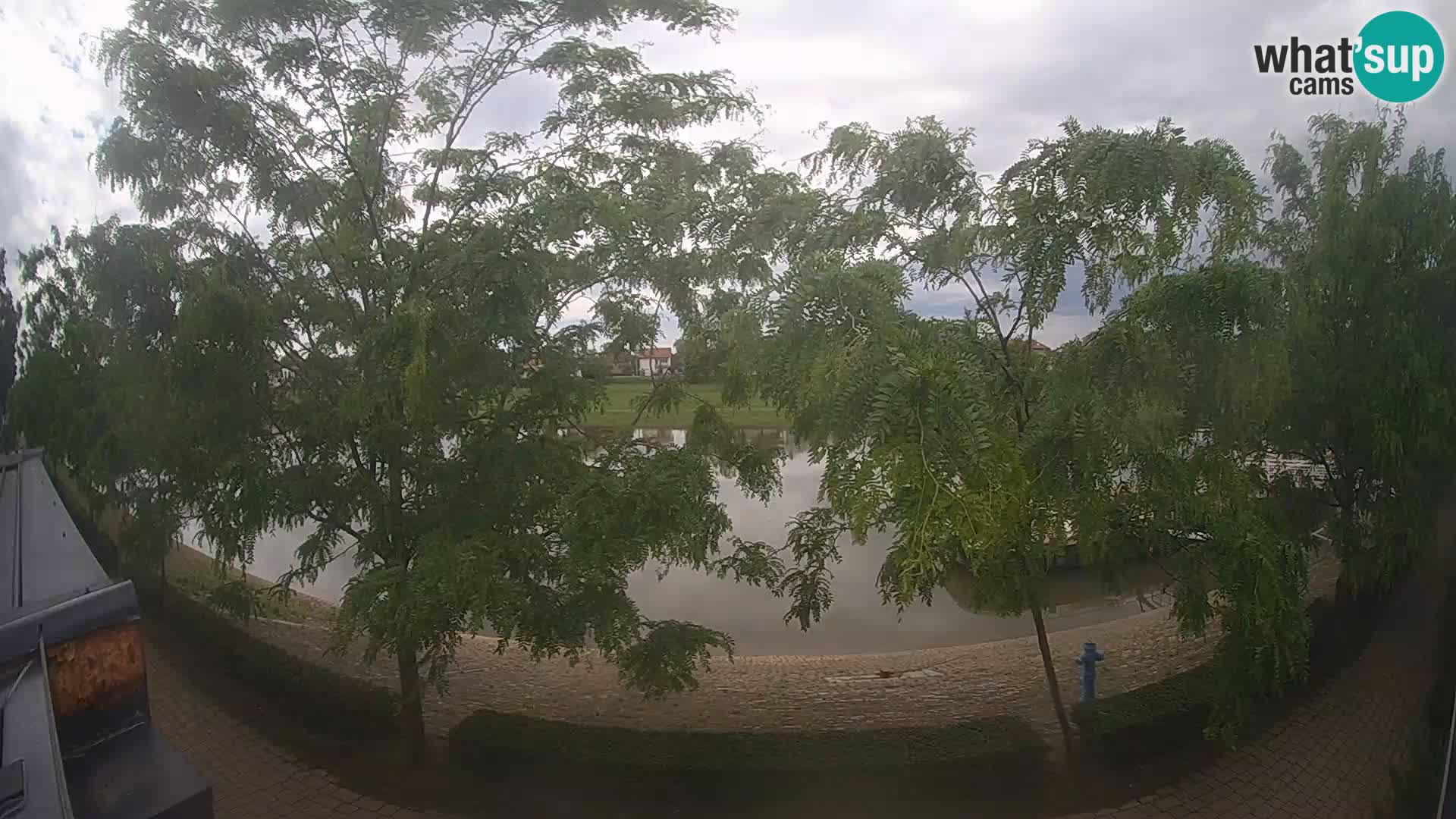 Sisak live webcam – vista sul fiume Kolpa – Croazia