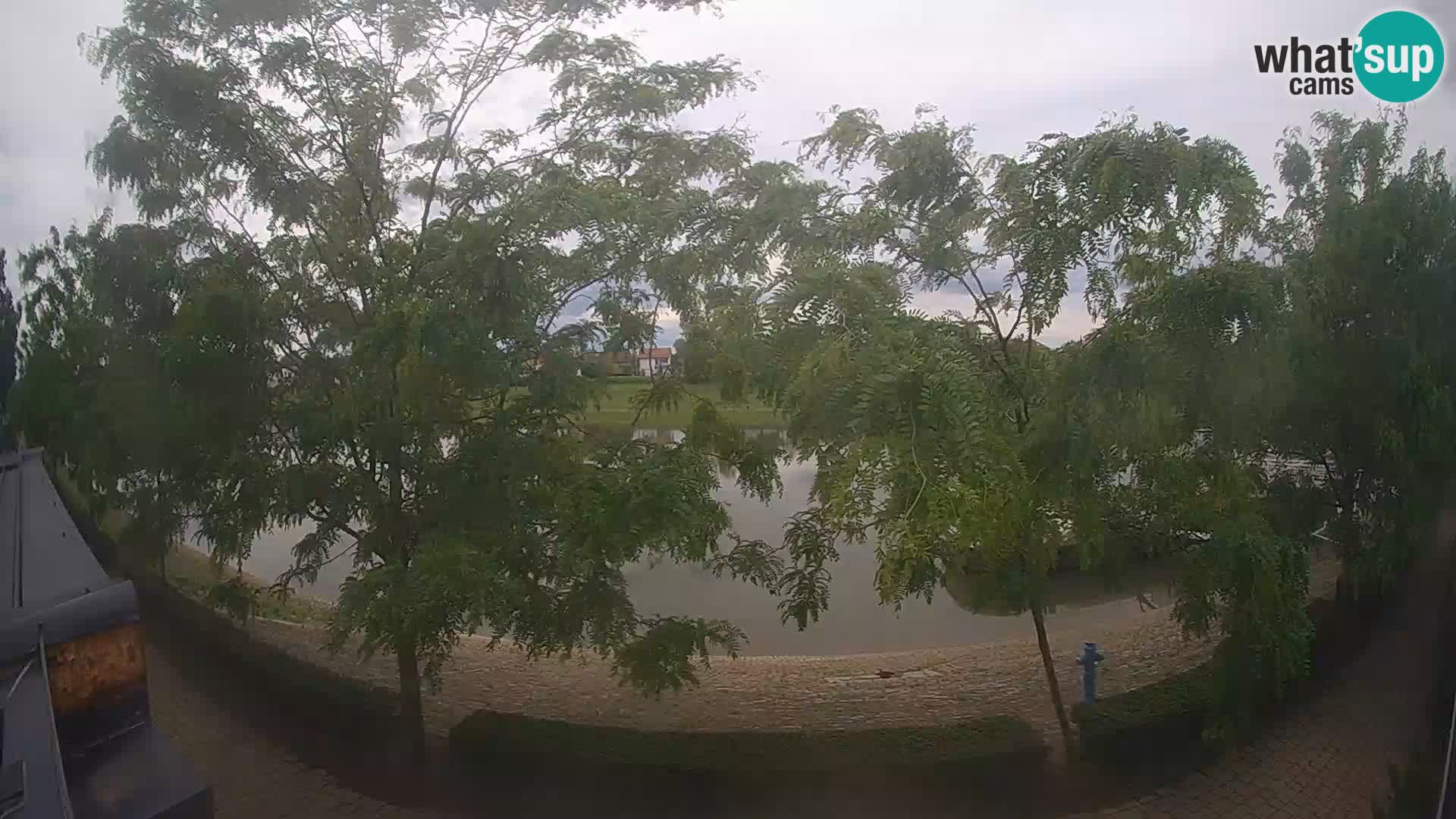 Sisak live webcam pogled na reku Kolpu