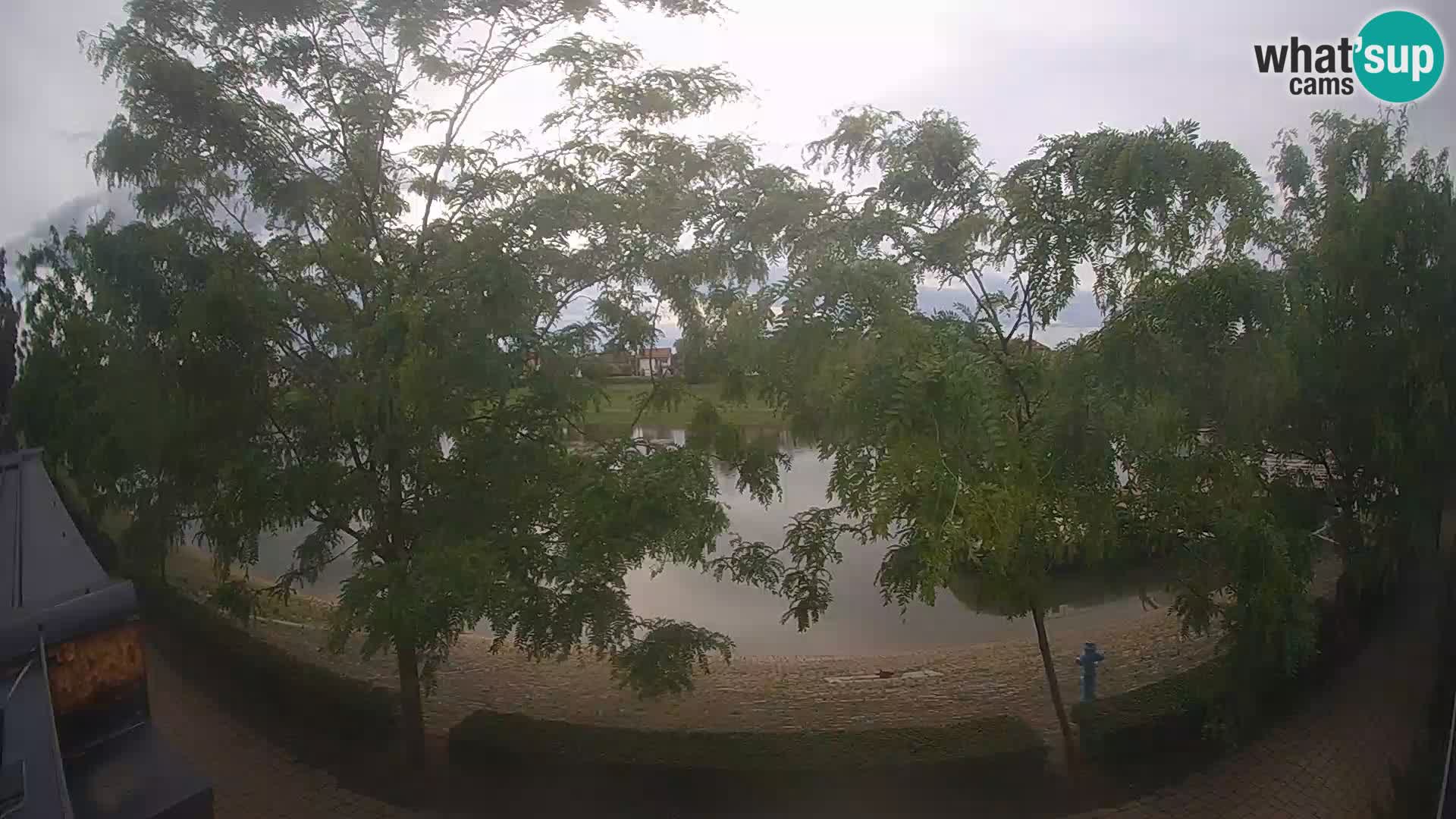 Sisak live webcam – vista sul fiume Kolpa – Croazia