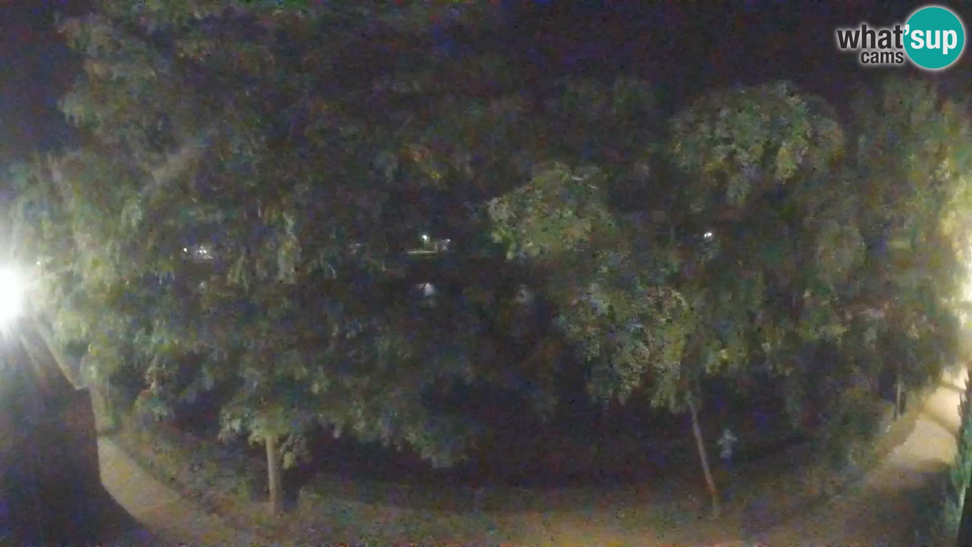 Sisak live webcam Kolpa river view – Croatia