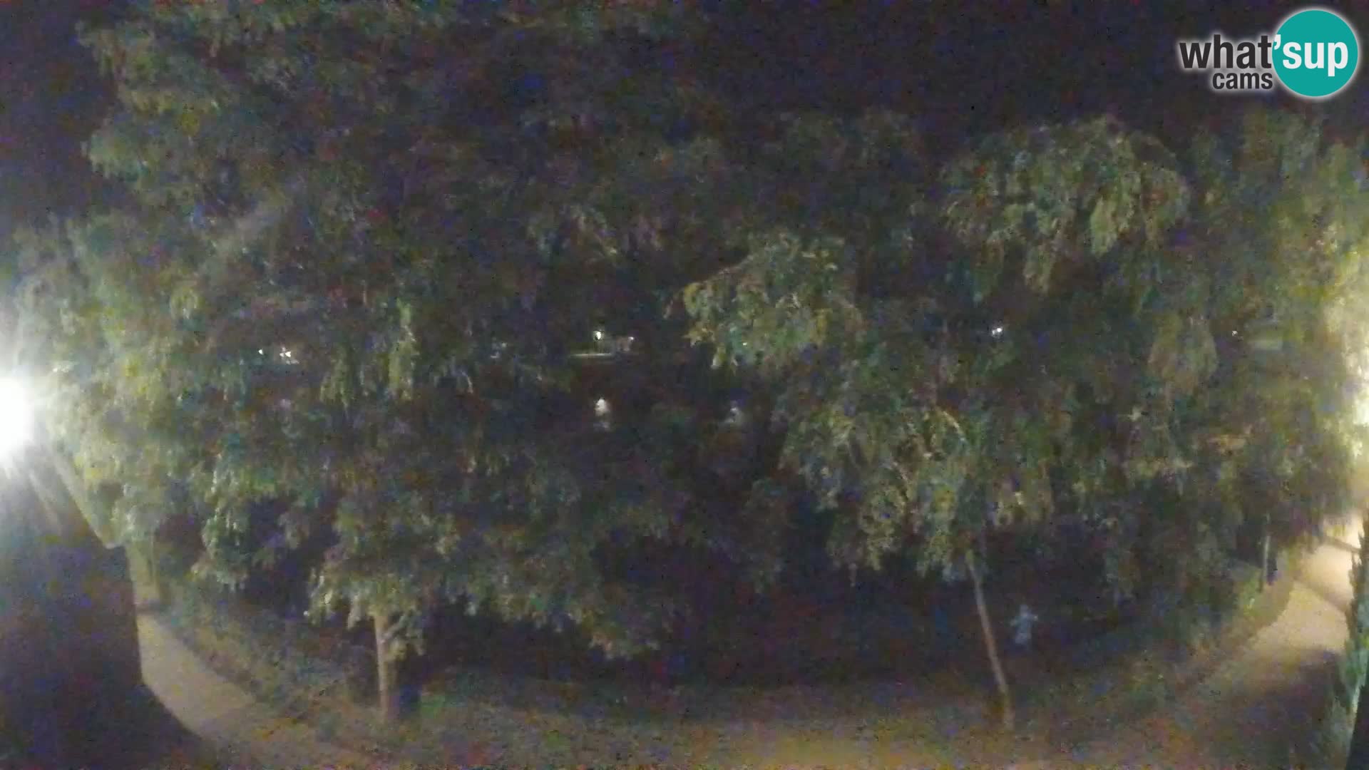 Sisak live webcam Kolpa river view – Croatia