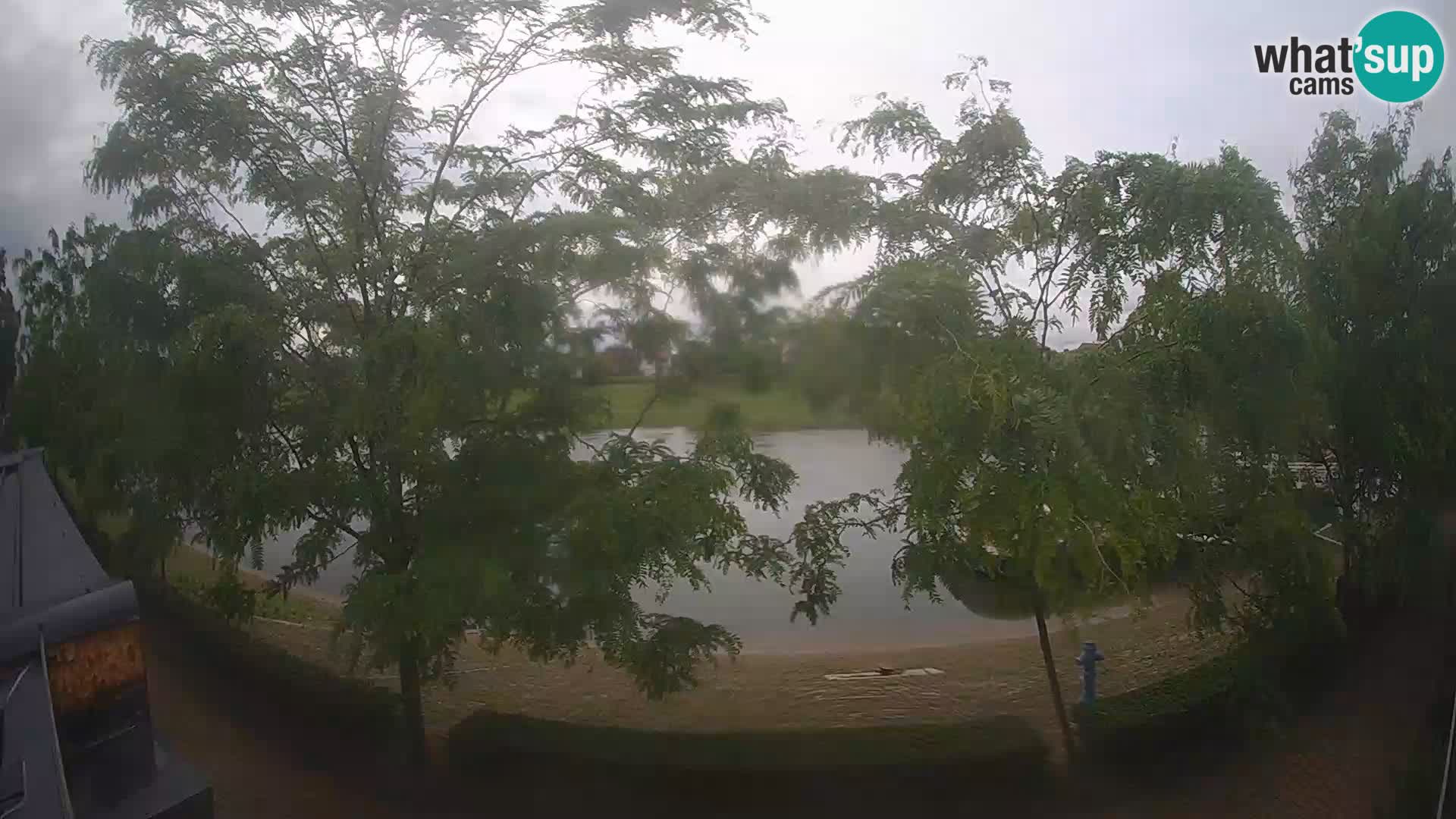 Sisak webcam en direct – vue sur la rivière Kolpa – Croatie