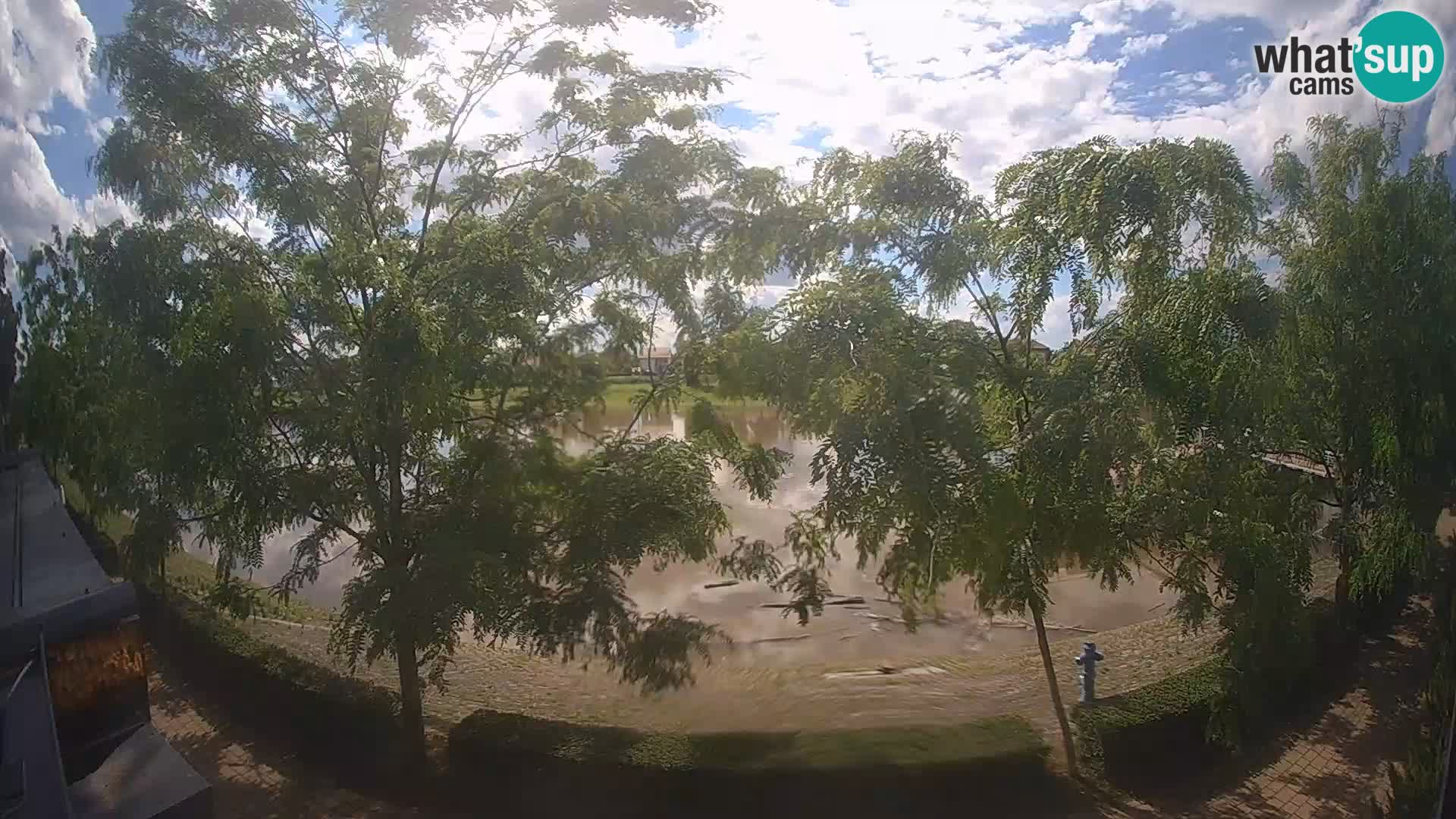 Sisak live webcam Kolpa river view – Croatia