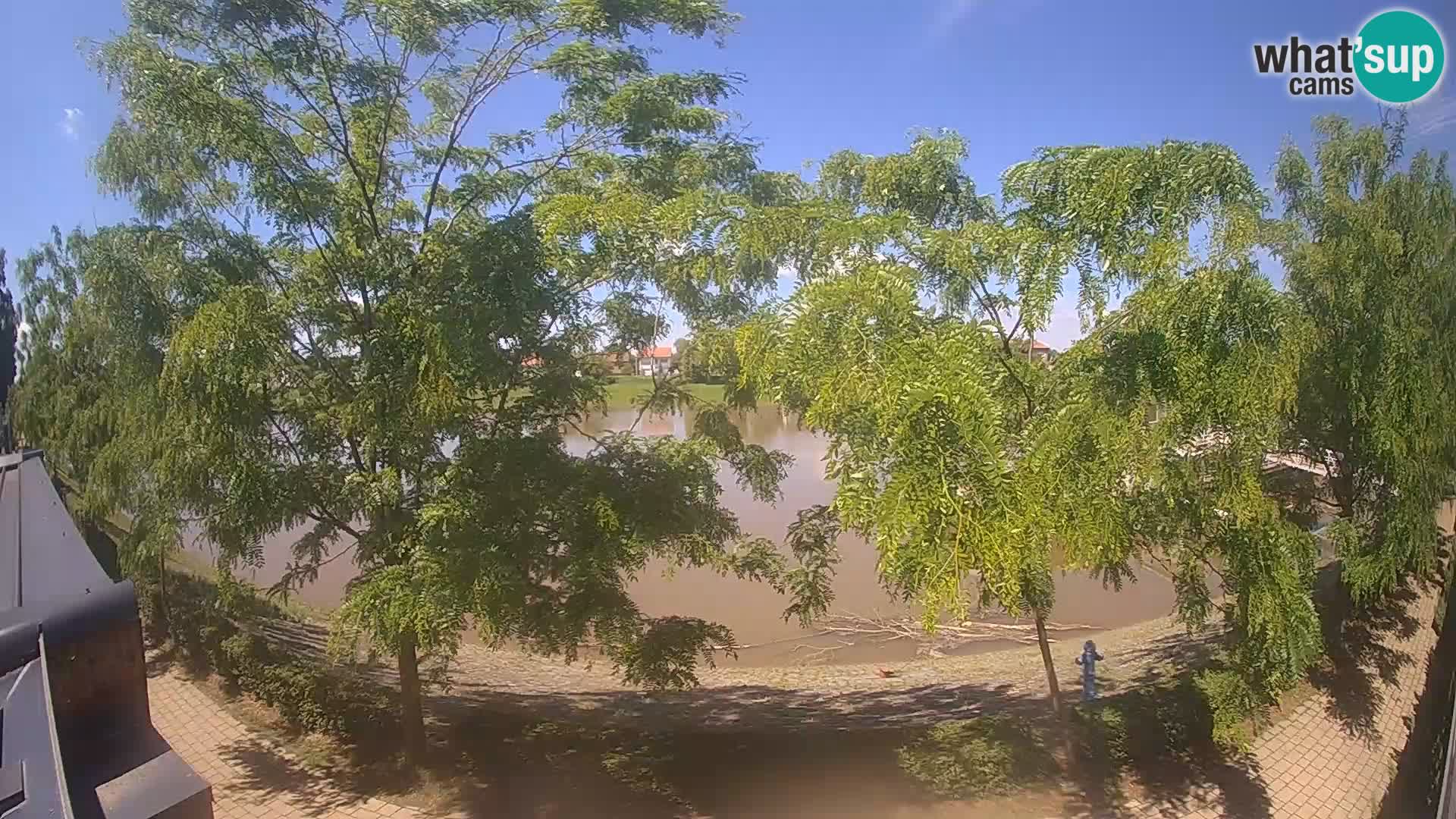 Sisak Live-Webcam Blick auf den Fluss Kolpa – Kroatien