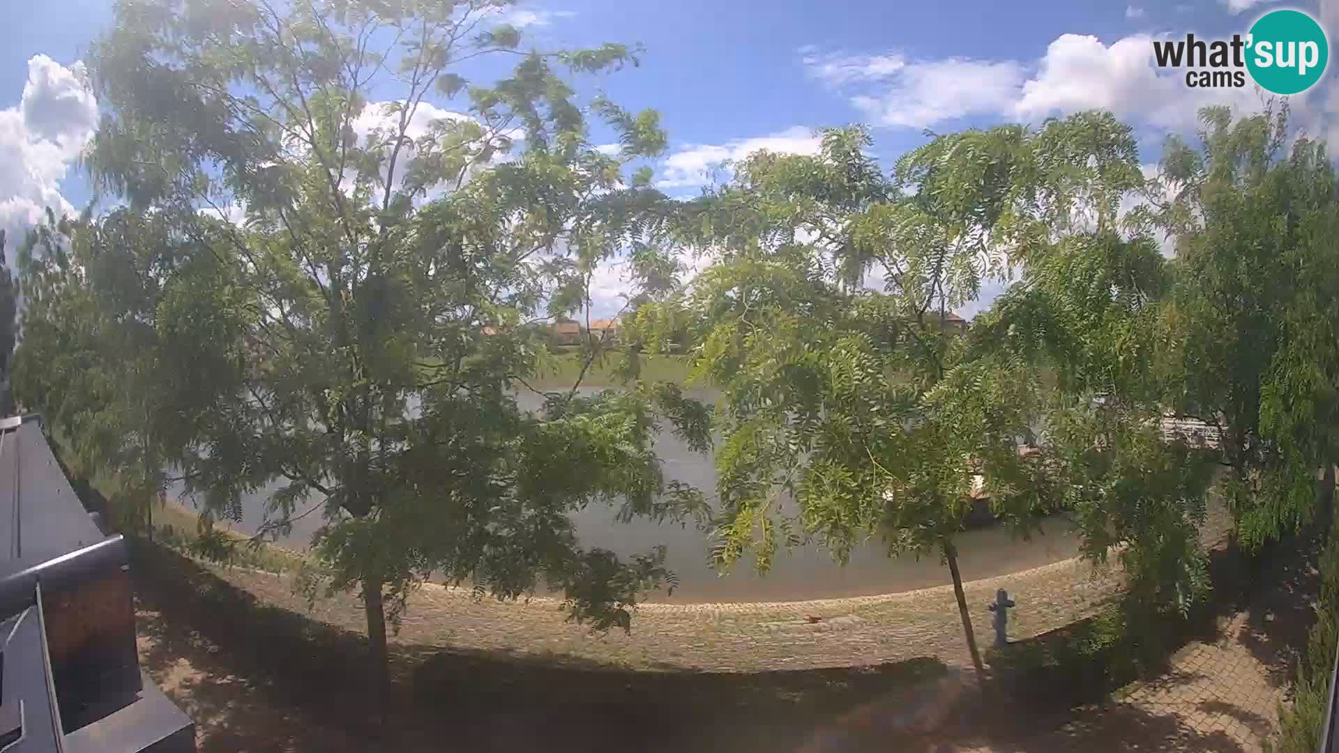 Sisak live webcam pogled na reku Kolpu