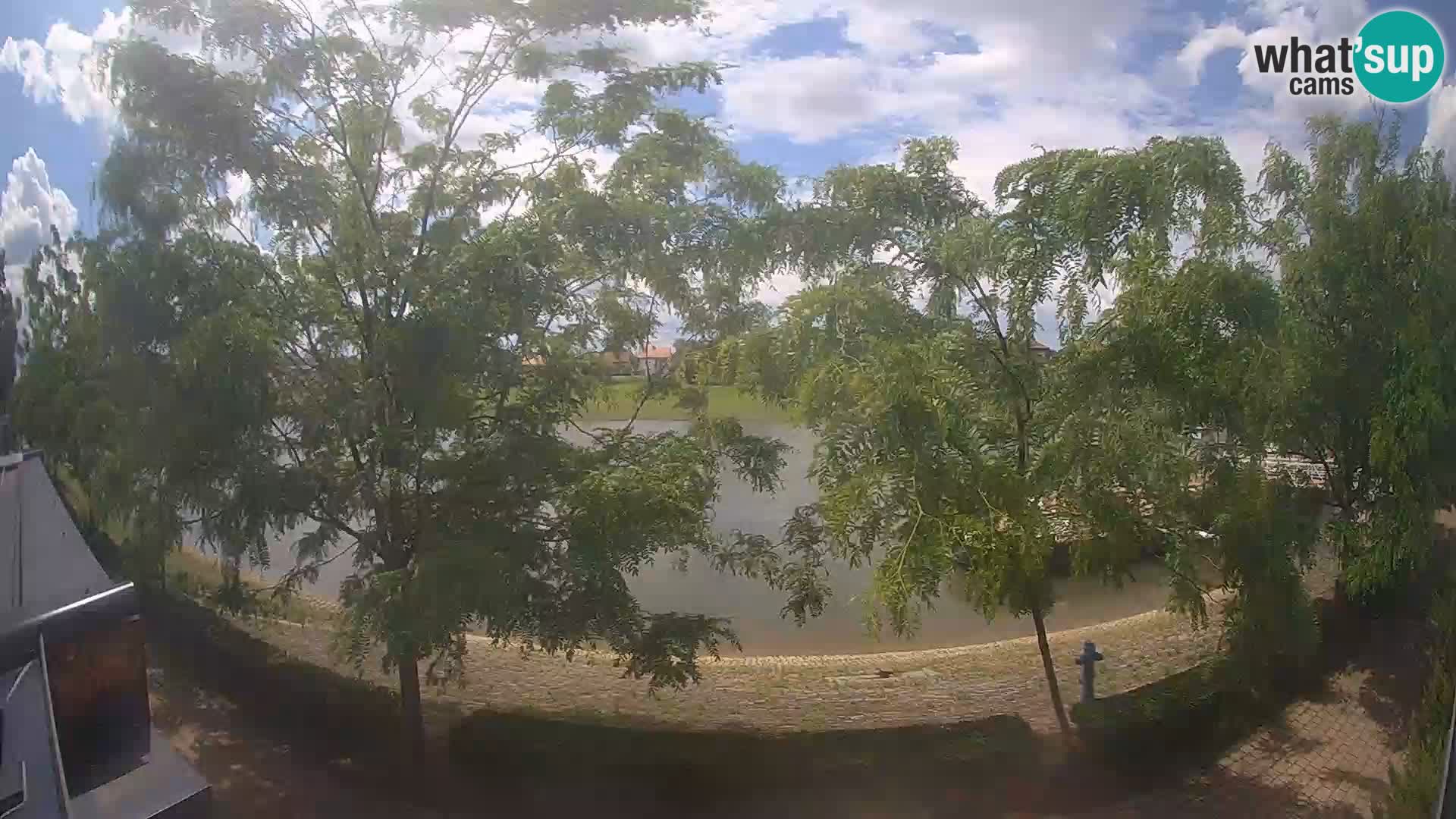 Sisak live webcam – vista sul fiume Kolpa – Croazia