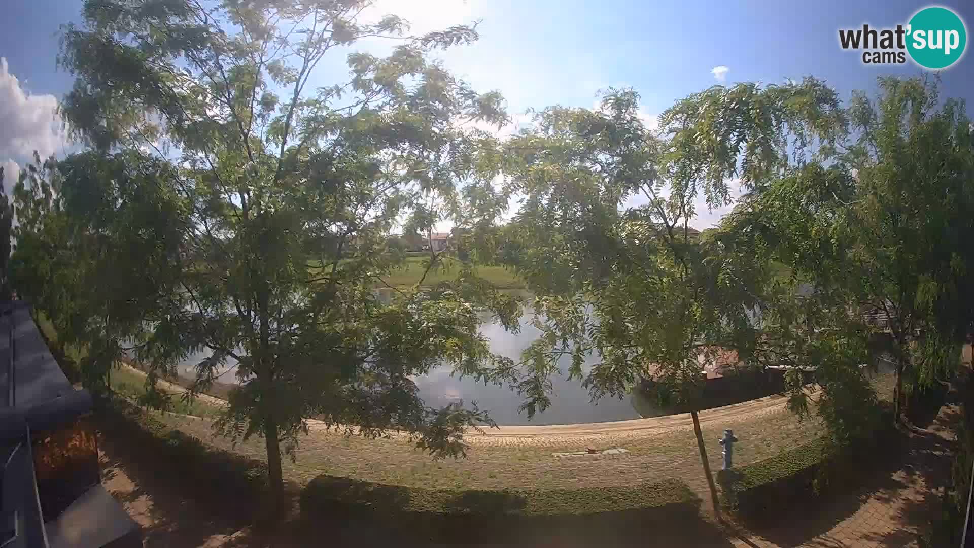 Sisak live webcam Kolpa river view – Croatia