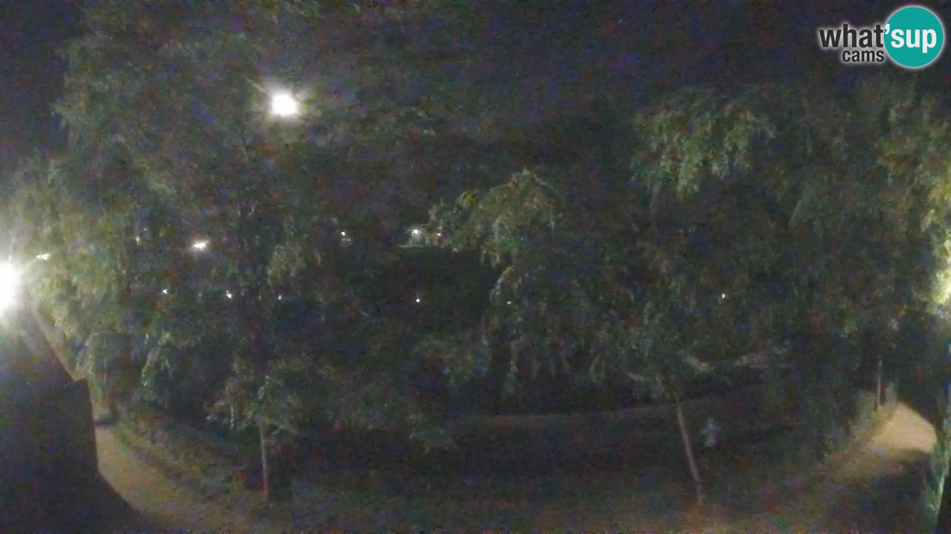 Sisak webcam en vivo Kolpa river view – Croacia