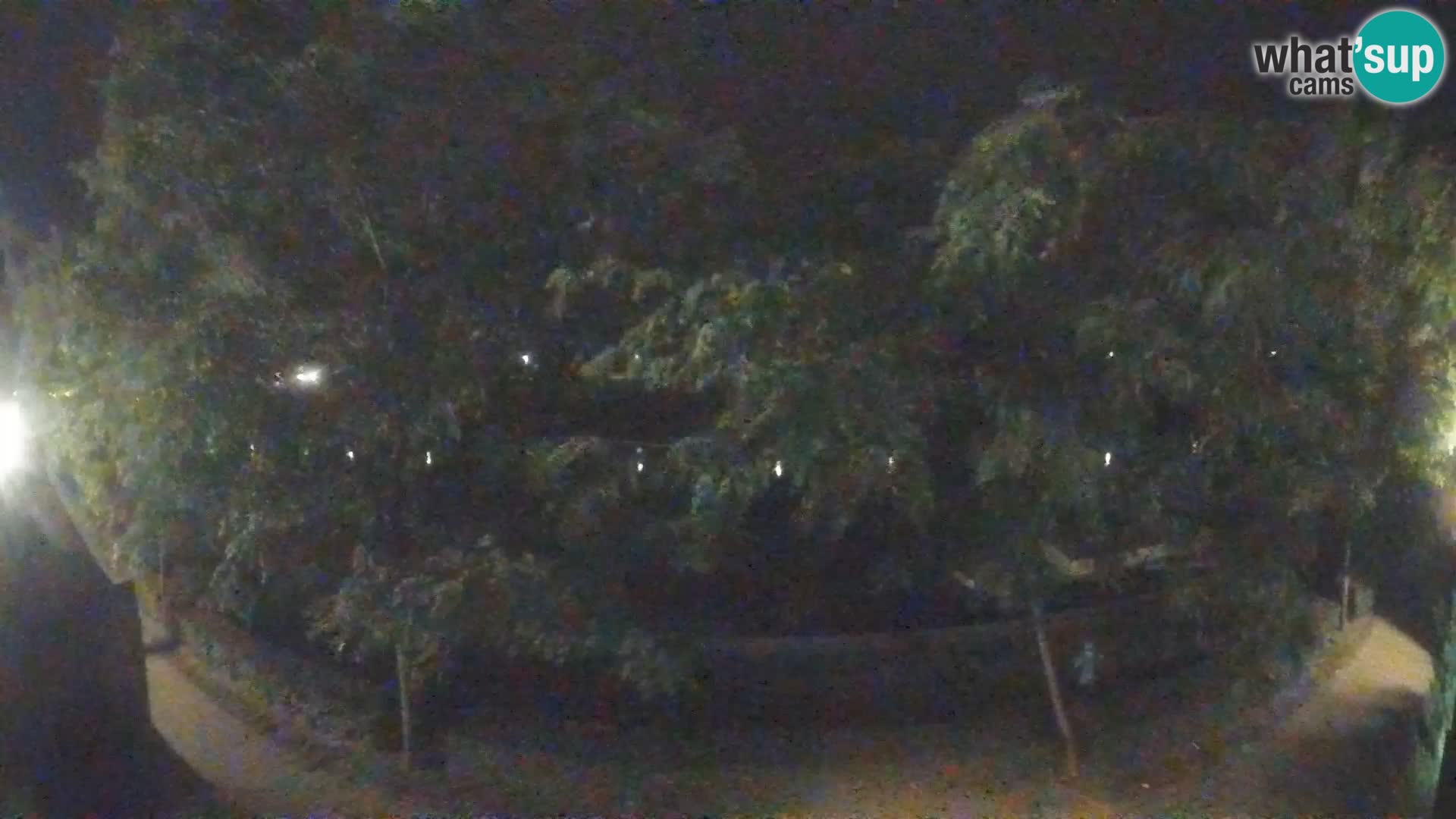 Sisak webcam en direct – vue sur la rivière Kolpa – Croatie