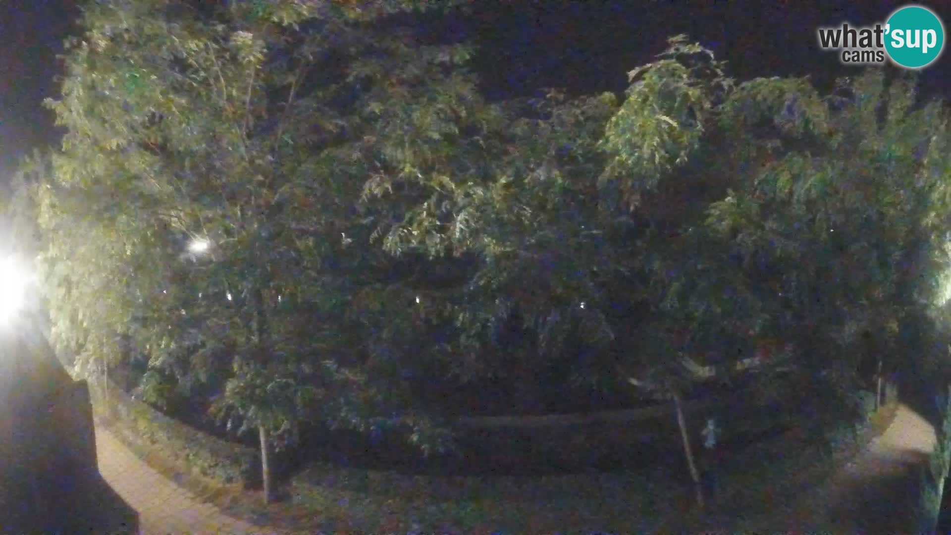 Sisak live webcam Kolpa river view – Croatia