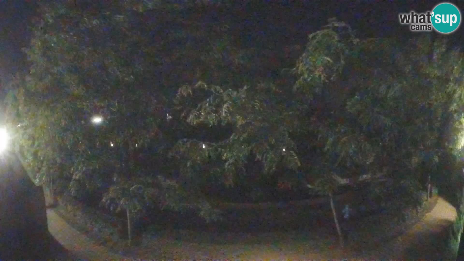 Sisak webcam en vivo Kolpa river view – Croacia