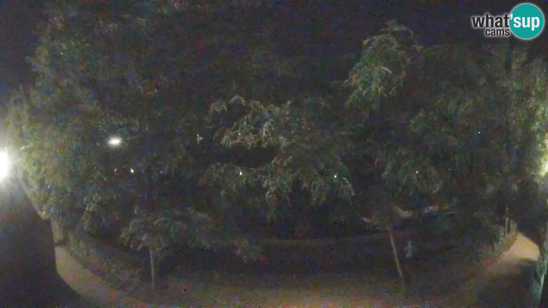 Sisak live webcam pogled na reku Kolpu