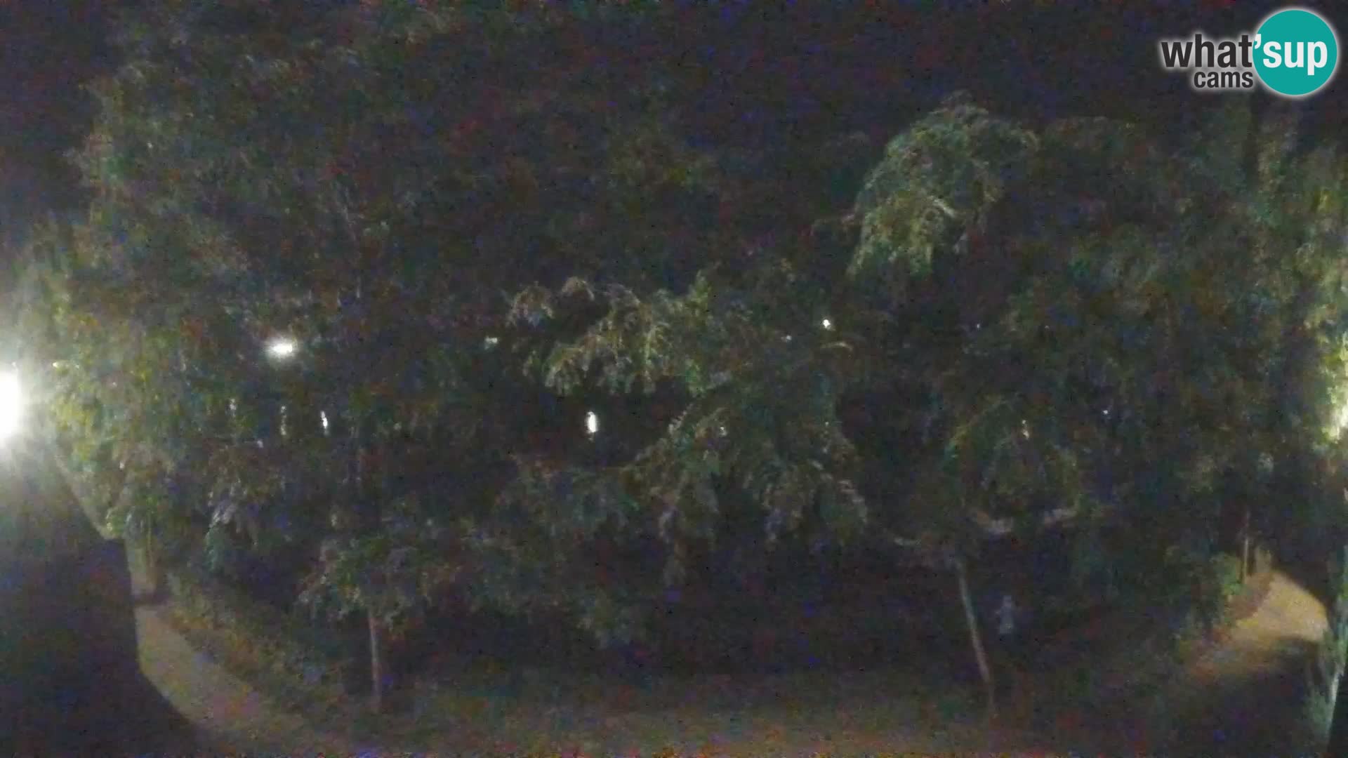 Sisak live webcam Kolpa river view – Croatia
