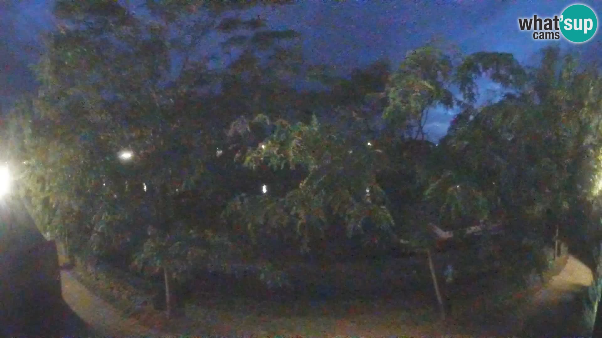 Sisak live webcam – vista sul fiume Kolpa – Croazia