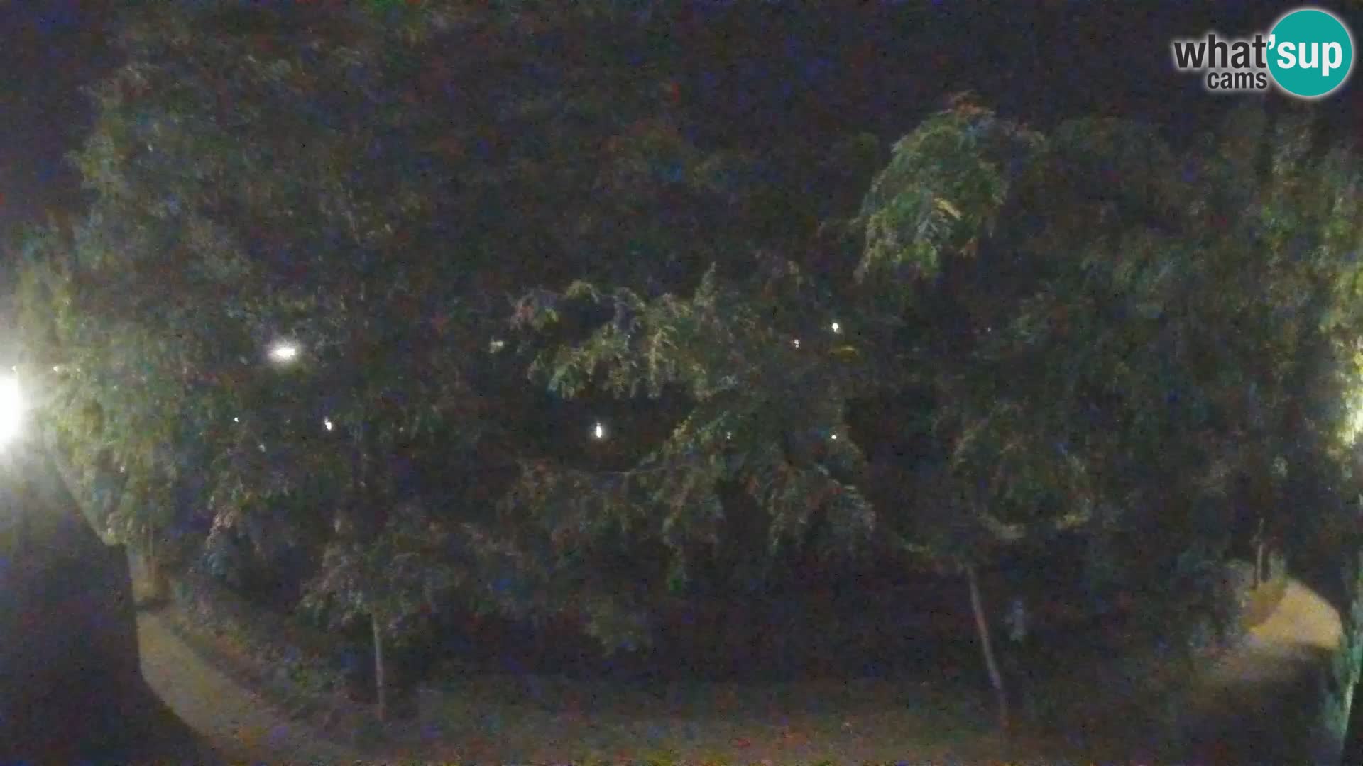 Sisak spletna kamera v živo Pogled na reko Kolpo – Hrvaška