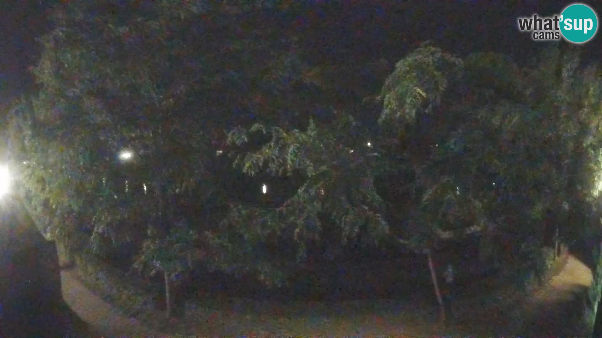 Sisak Live-Webcam Blick auf den Fluss Kolpa – Kroatien