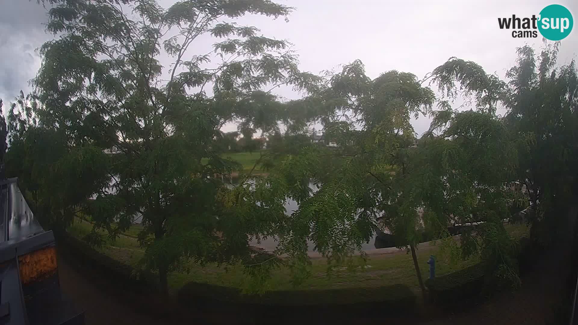 Sisak webcam en vivo Kolpa river view – Croacia