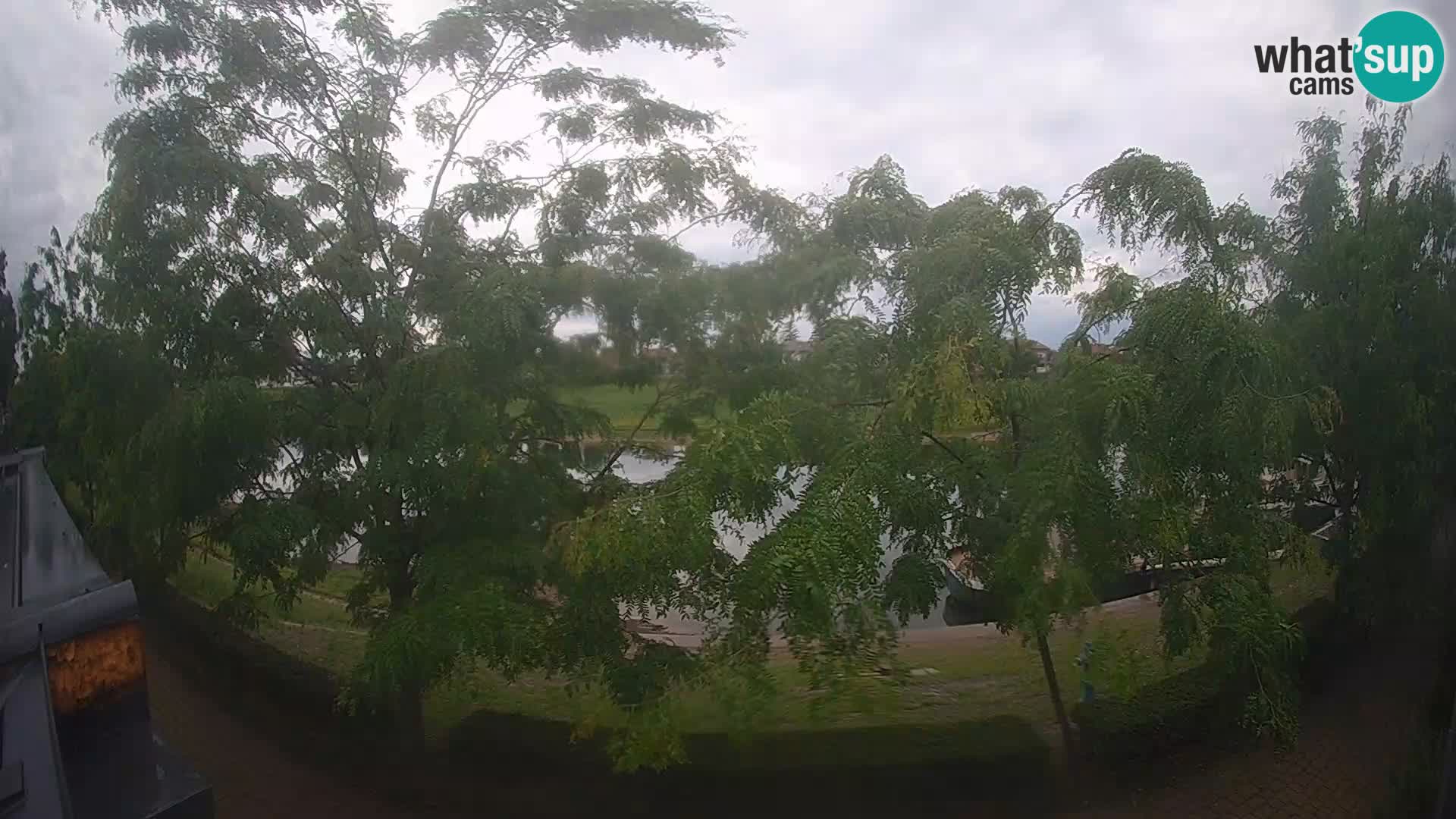 Sisak webcam en vivo Kolpa river view – Croacia