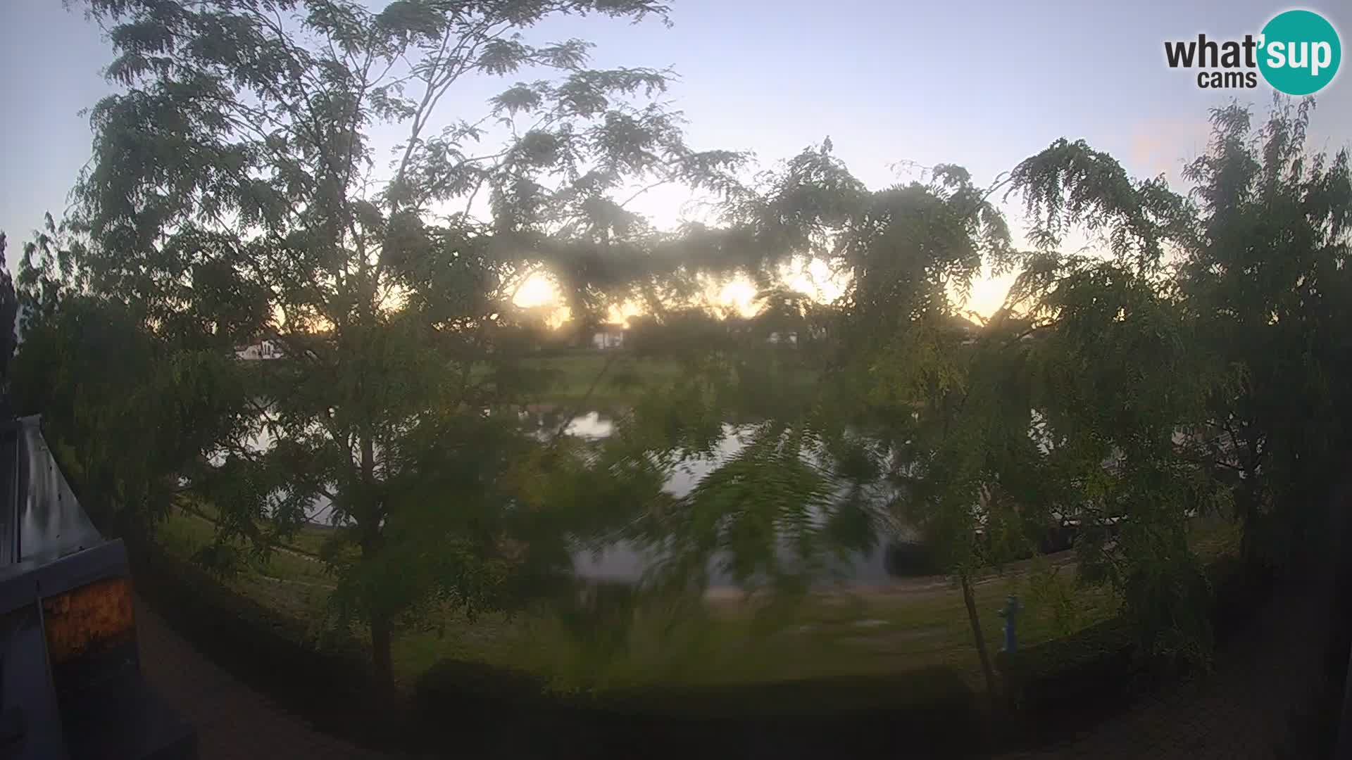 Sisak live webcam – vista sul fiume Kolpa – Croazia
