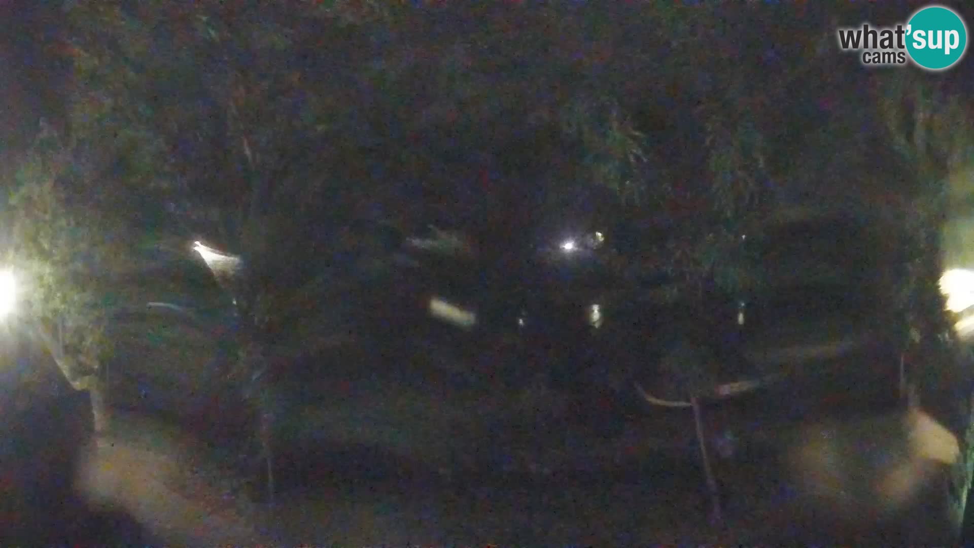 Sisak webcam en vivo Kolpa river view – Croacia