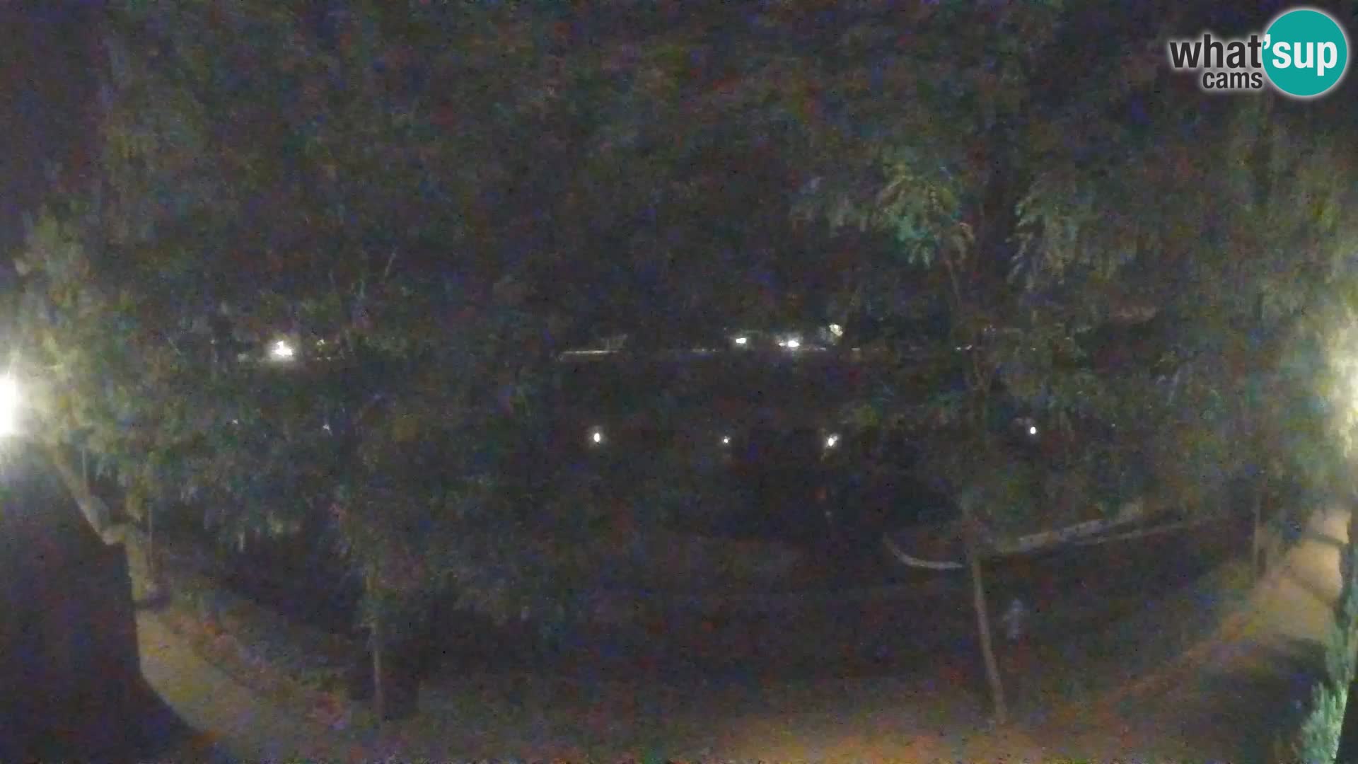 Sisak live webcam Kolpa river view – Croatia