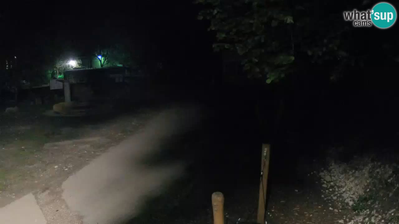 Skrad webcam Zeleni Vir