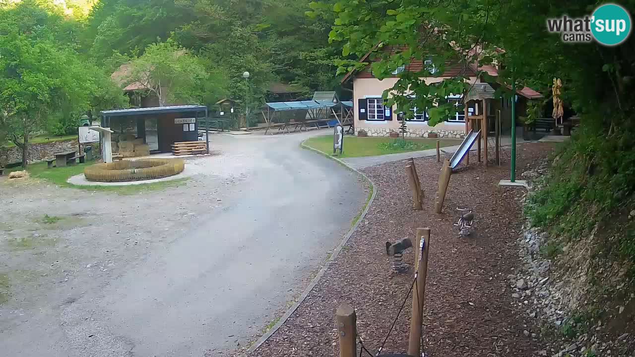Skrad webcam Zeleni Vir