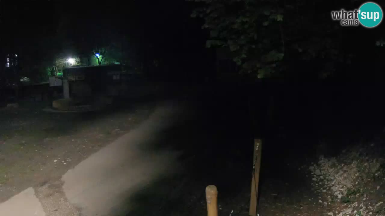 Skrad Livecam Zeleni Vir