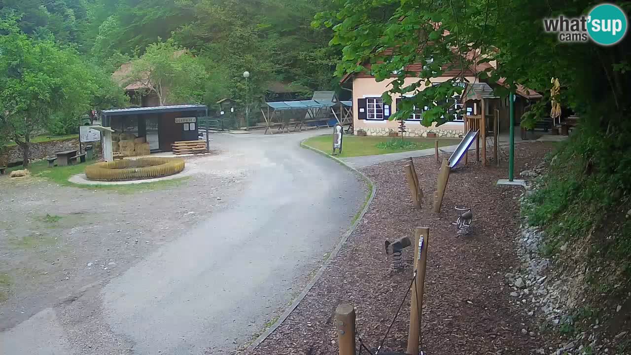 Skrad live cam Zeleni Vir