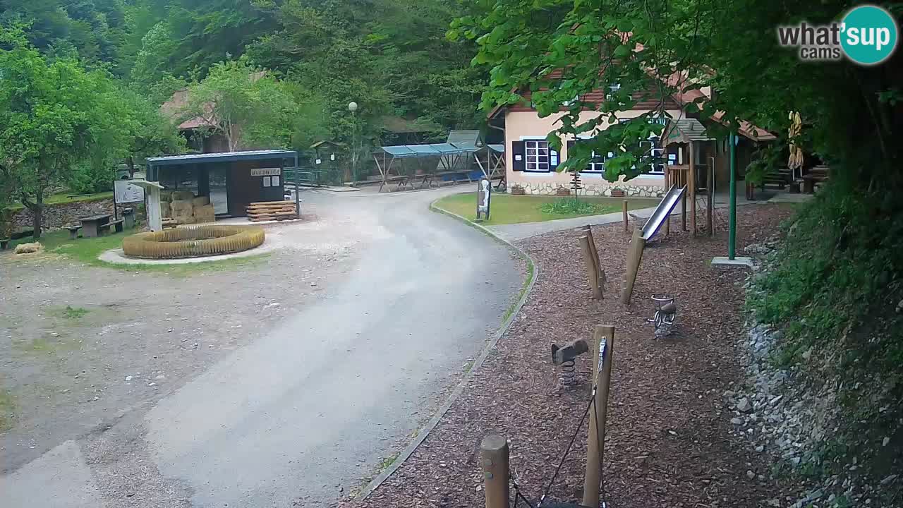 Skrad webcam Zeleni Vir