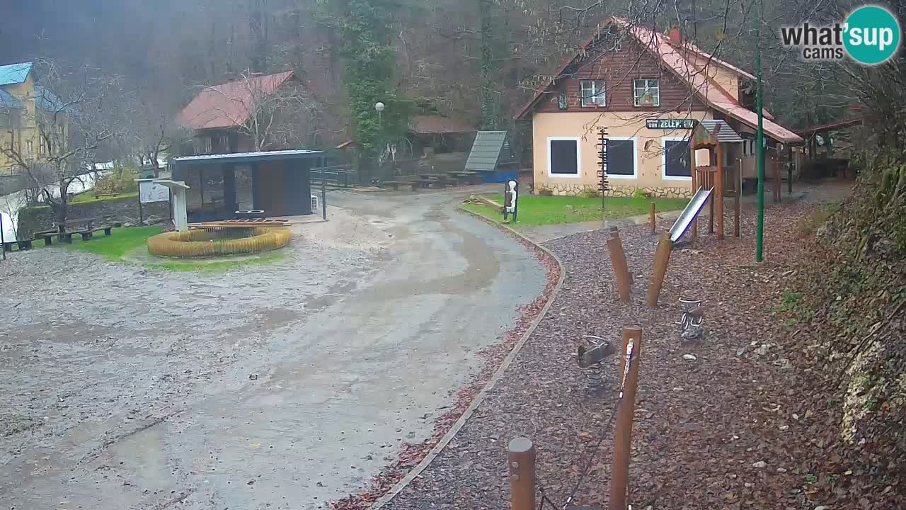 Skrad spletna kamera Zeleni Vir