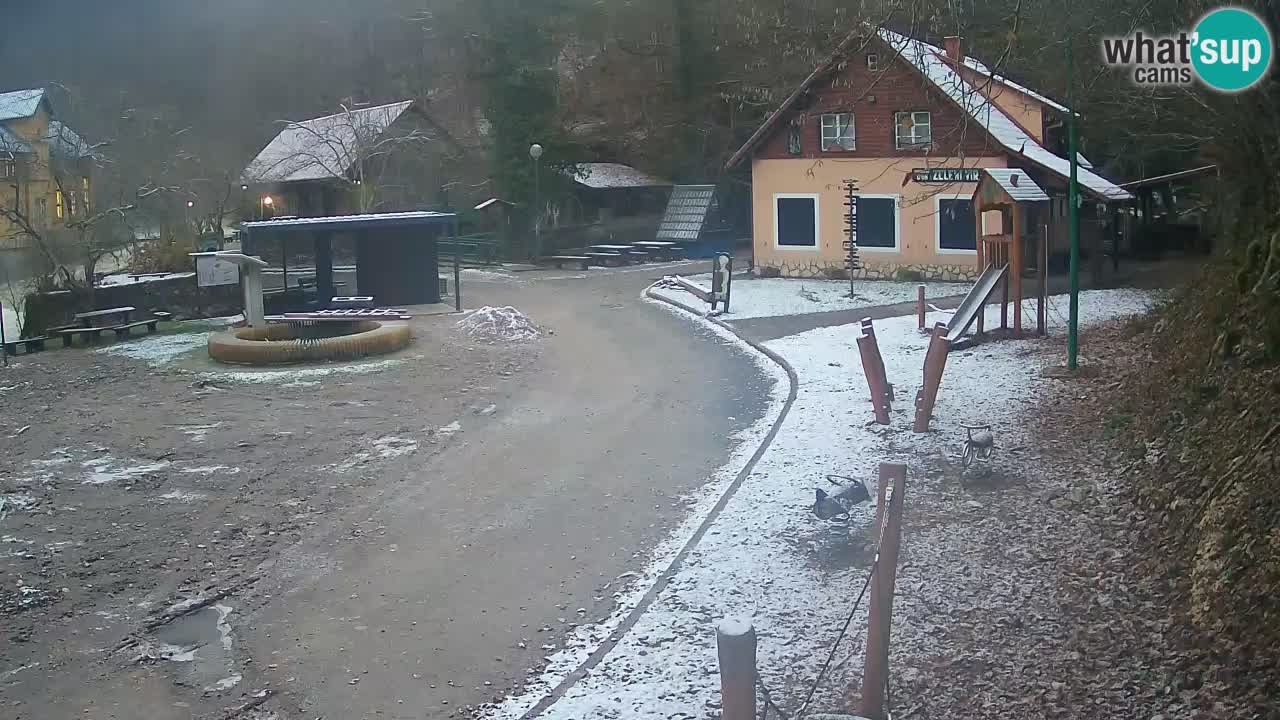 Skrad webcam Zeleni Vir