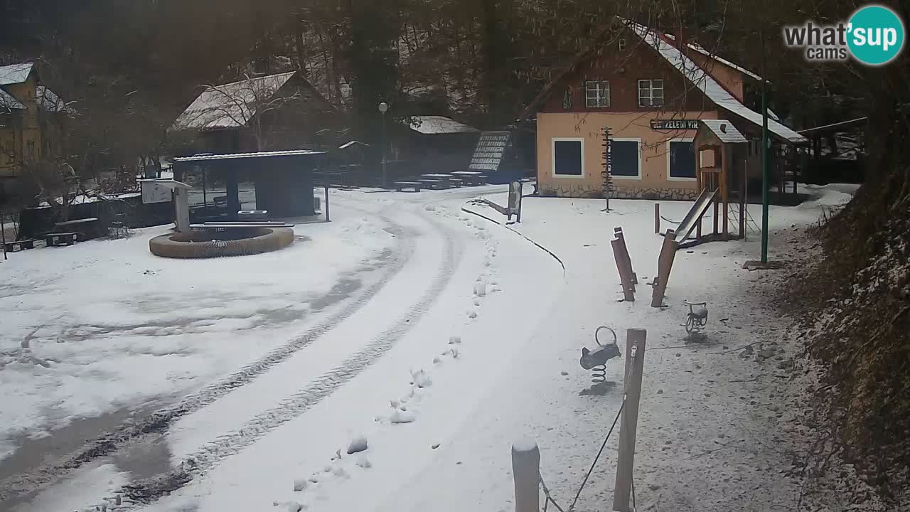 Skrad webcam Zeleni Vir