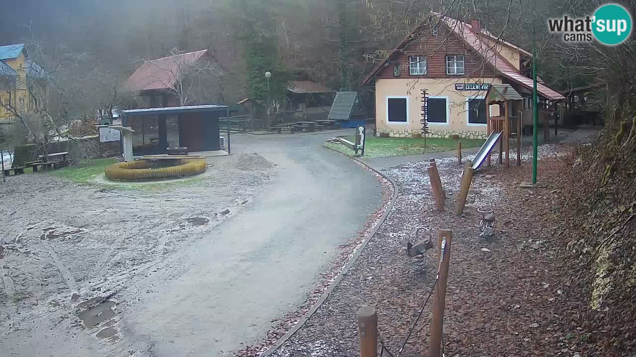 Skrad webcam Zeleni Vir