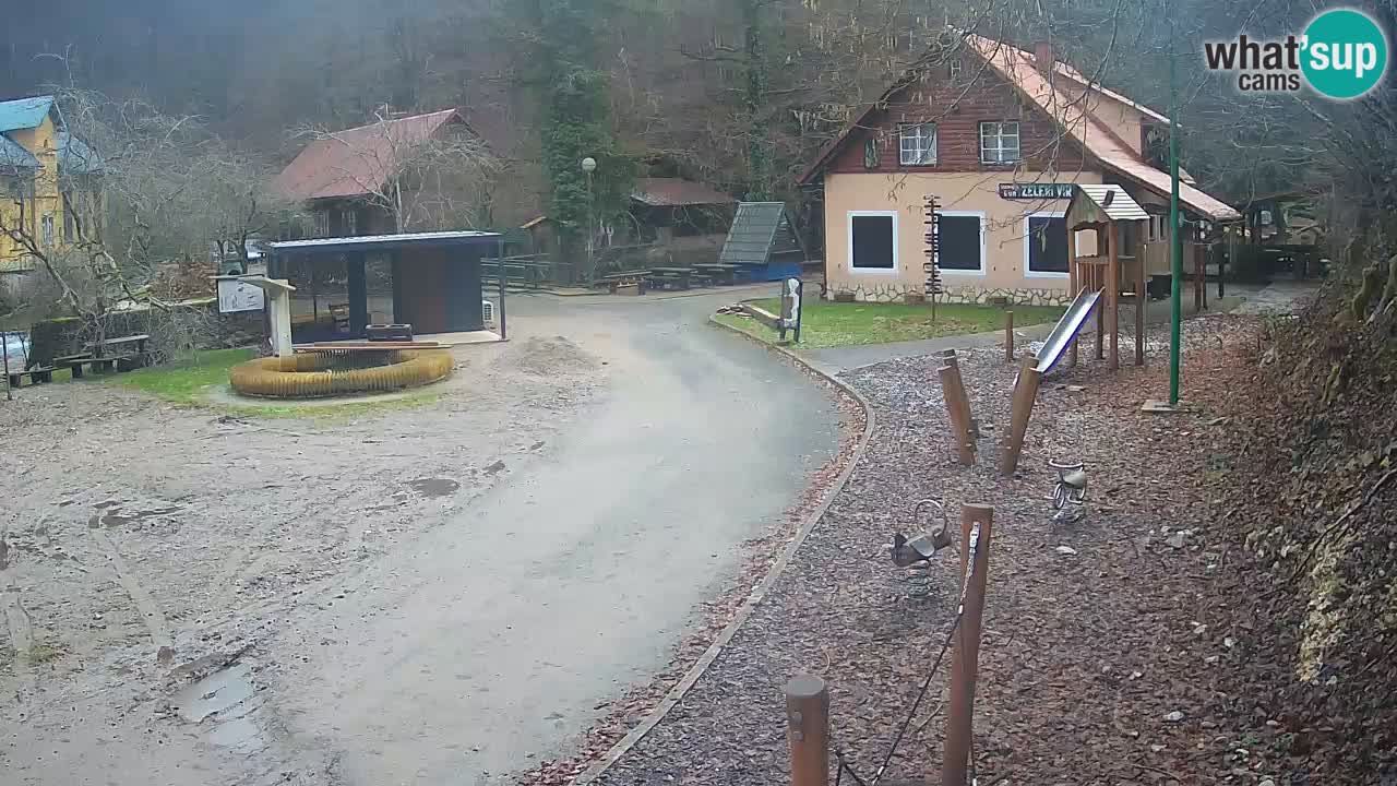 Skrad Livecam Zeleni Vir