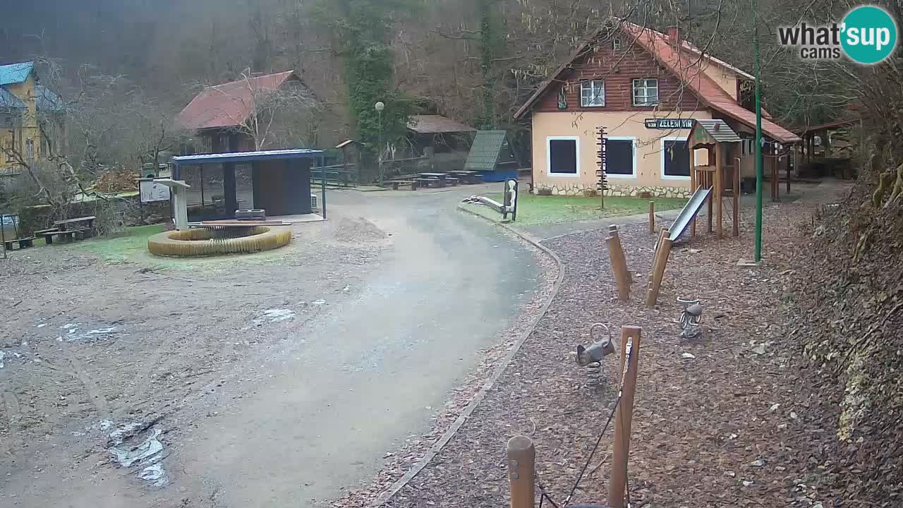 Skrad webcam Zeleni Vir