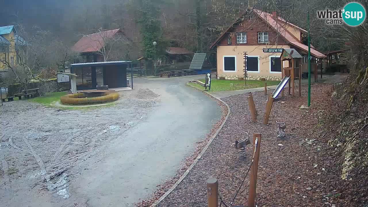 Skrad webcam Zeleni Vir