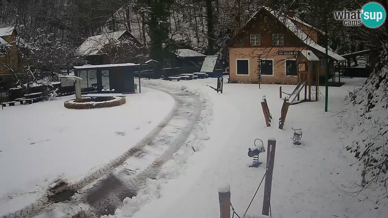 Skrad webcam Zeleni Vir