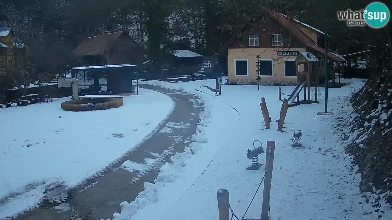 Skrad webcam Zeleni Vir