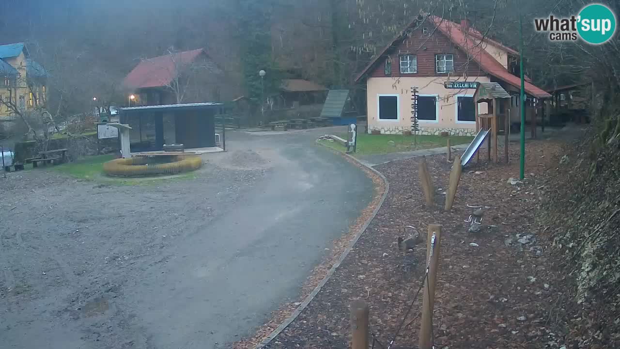 Skrad webcam Zeleni Vir