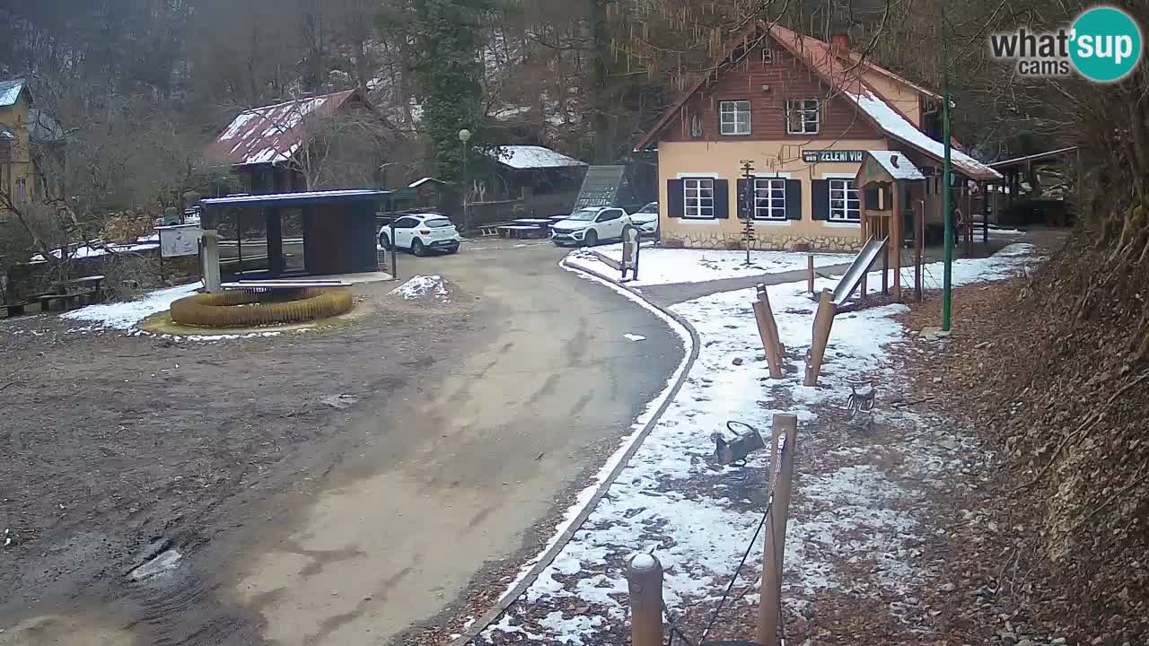 Skrad livecam Zeleni Vir