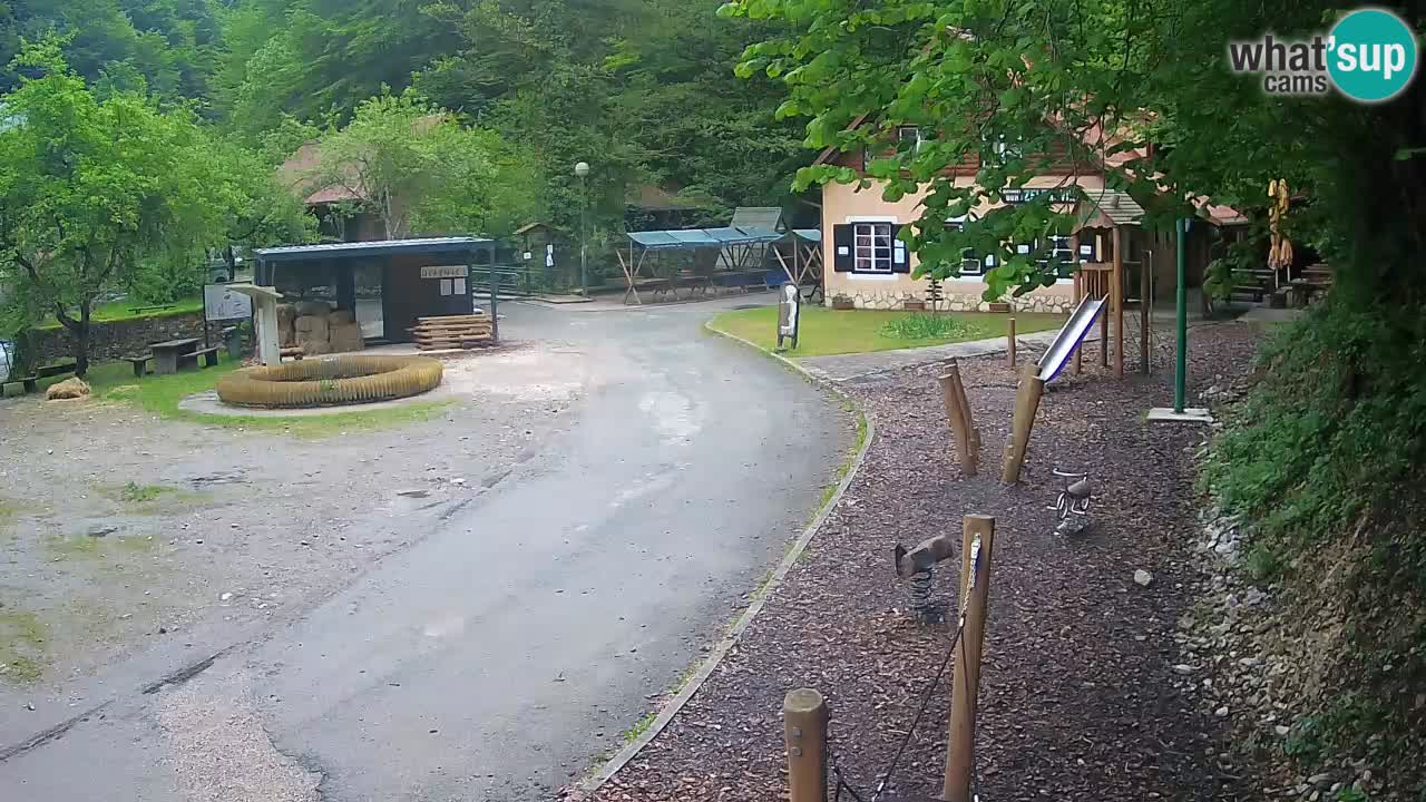 Skrad Livecam Zeleni Vir