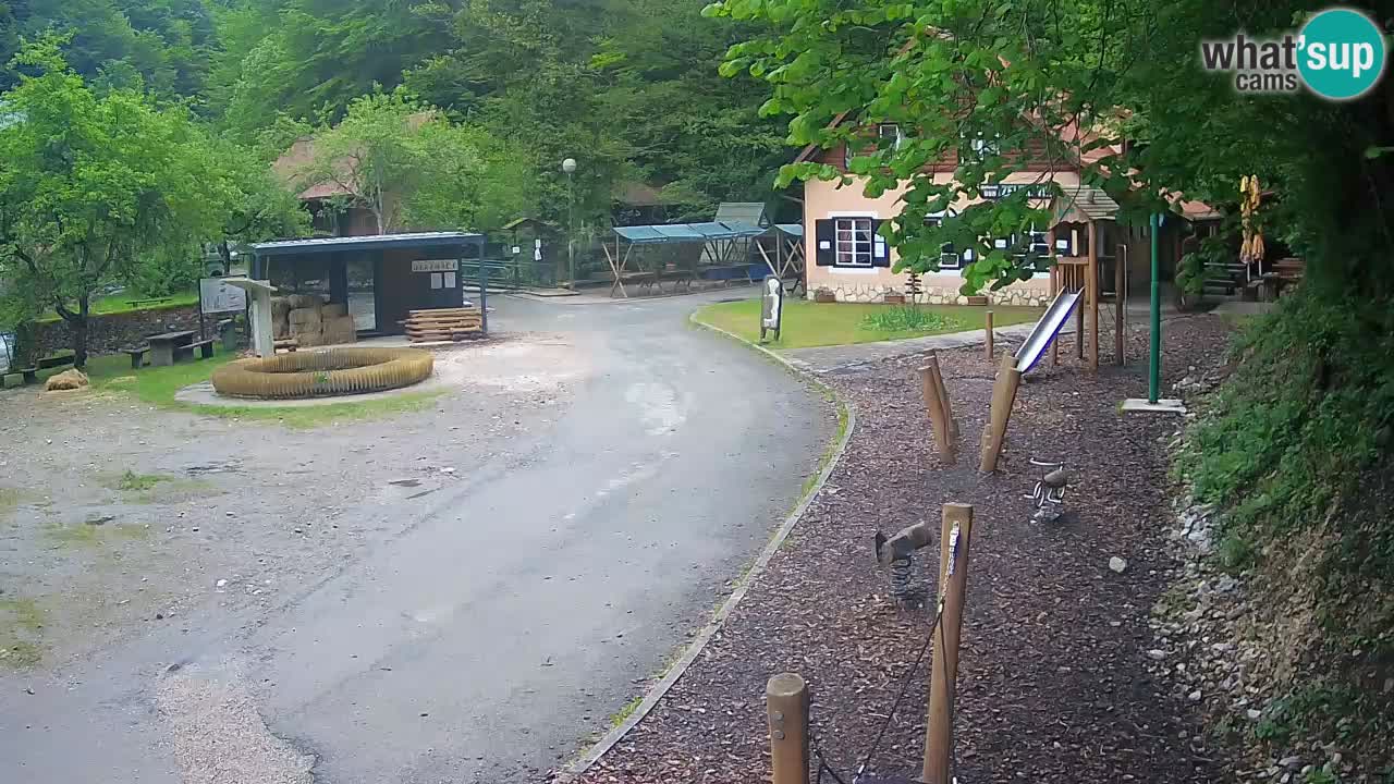 Skrad webcam Zeleni Vir