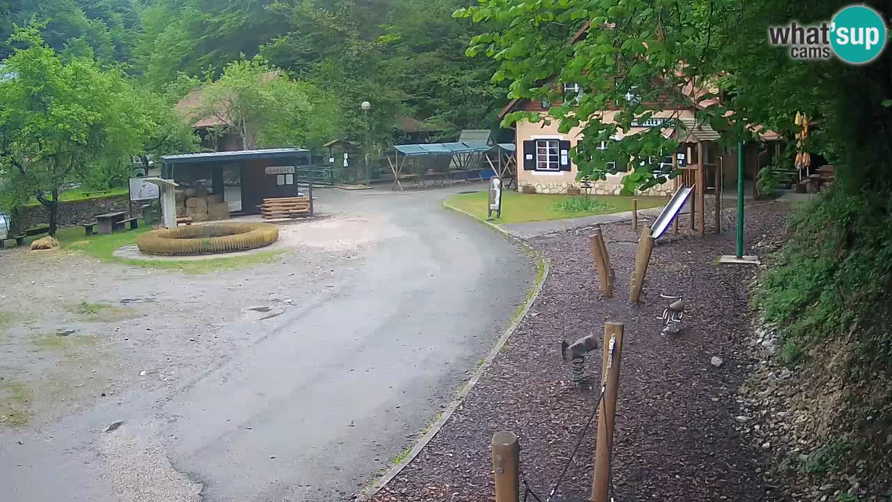 Skrad live cam Zeleni Vir