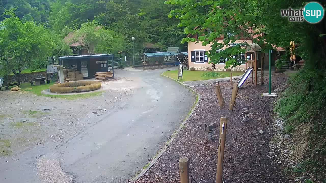 Skrad livecam Zeleni Vir