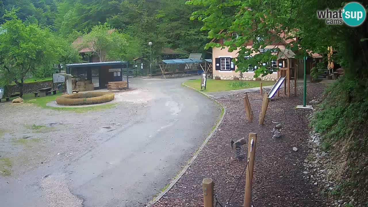 Skrad Livecam Zeleni Vir