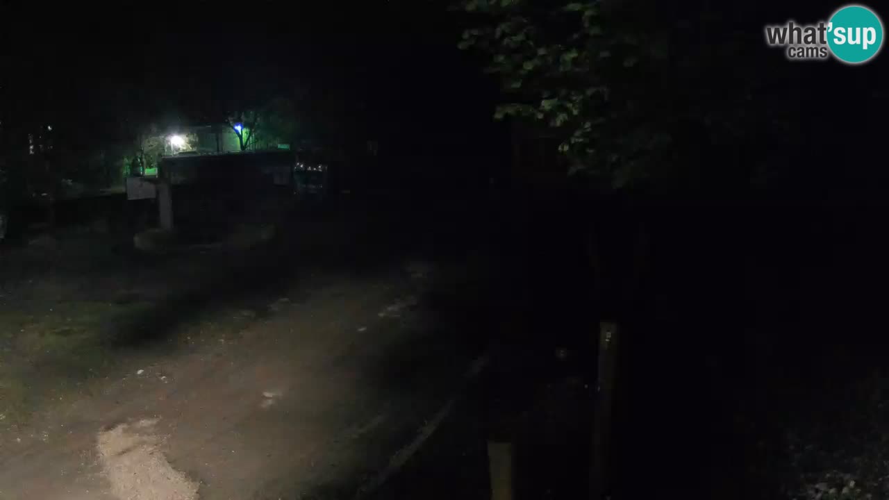 Skrad webcam Zeleni Vir
