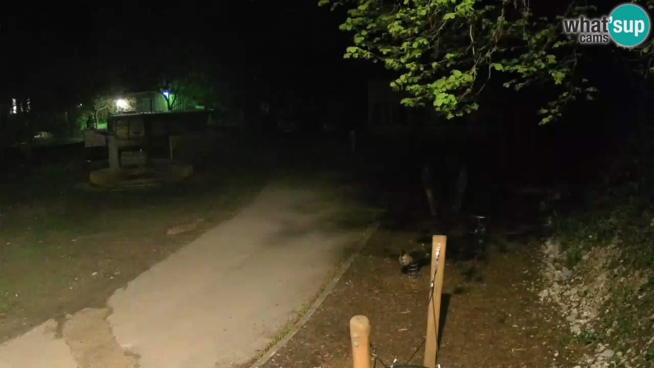 Skrad live cam Zeleni Vir